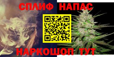 гидропоника Гусев
