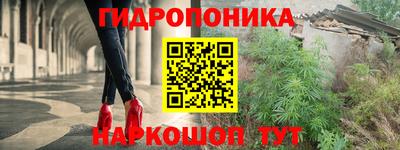 мяу мяу кристалл Гусь-Хрустальный