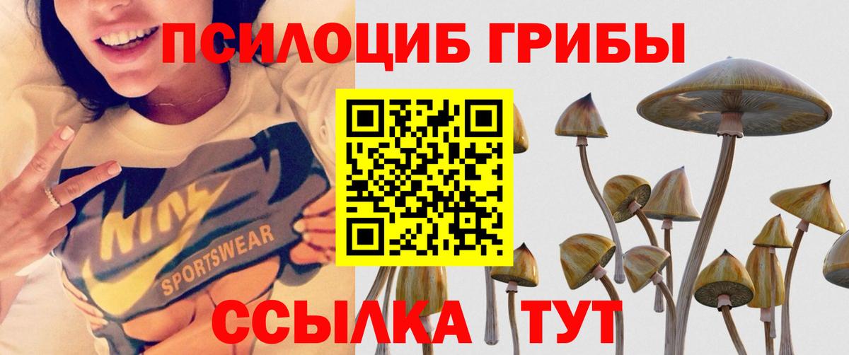 Галлюциногенные грибы MAGIC MUSHROOMS  Галлюциногенные грибы Cubensis  Вязники 
