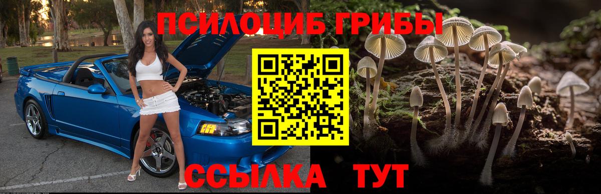 Галлюциногенные грибы Cubensis  купить   Вязники  Вход с VPN  Псилоцибиновые грибы Psilocybine cubensis 